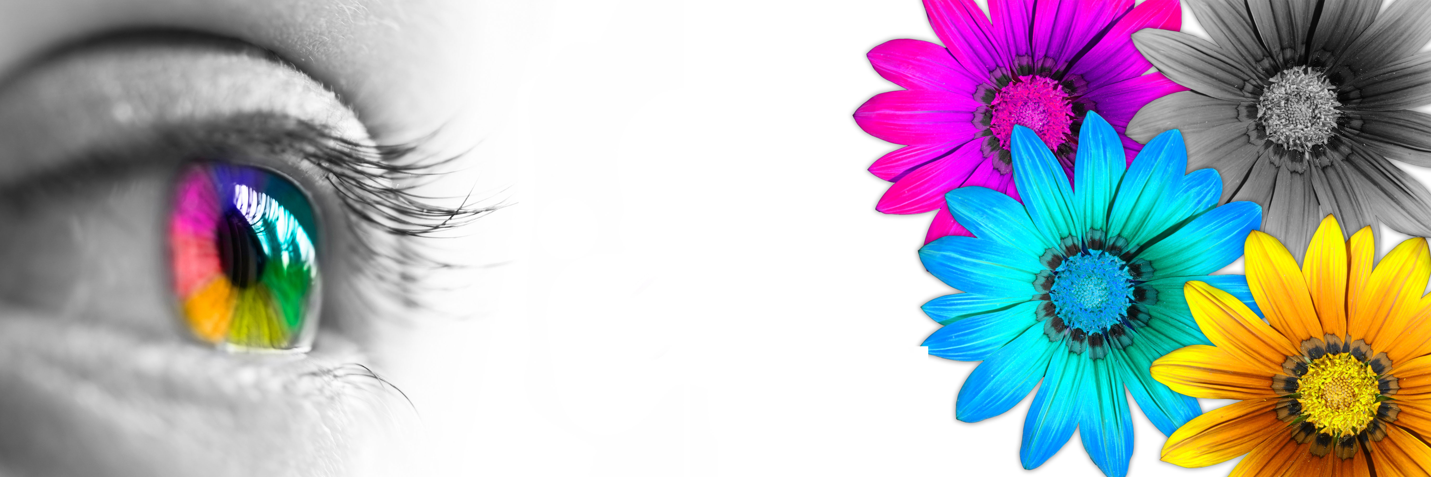 Print & Document Services | Vero Beach, FL